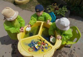 Windy Arbor Nursery