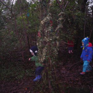 27.1.14-forest-school-151